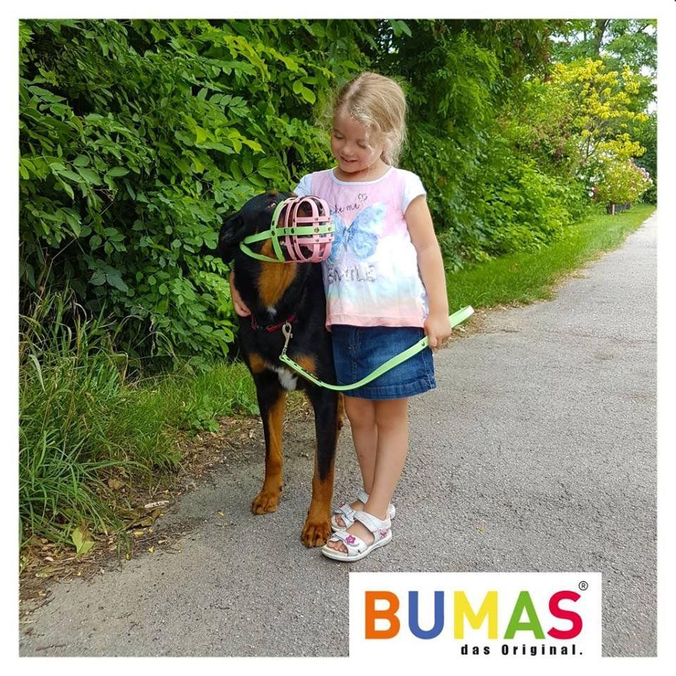 biothane dog leashes